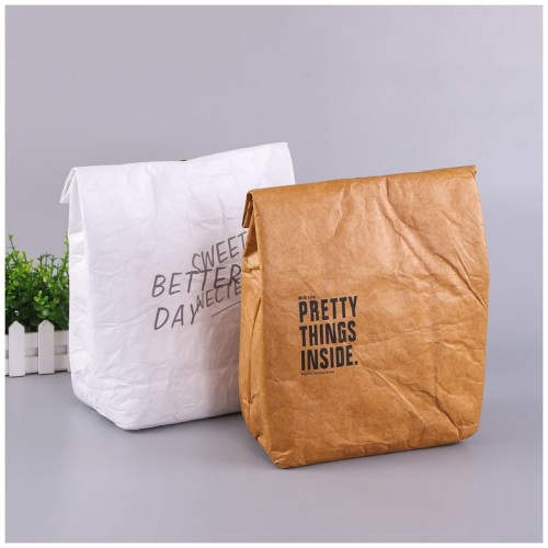 2022 New arrival Tyvek Lunch Bag Waterproof Cooler / Grocery Bag