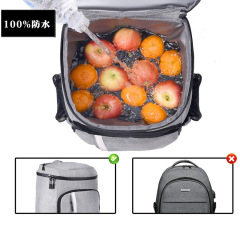 Lunch Food Picnic Backpack Cooler / Grocery Bag
