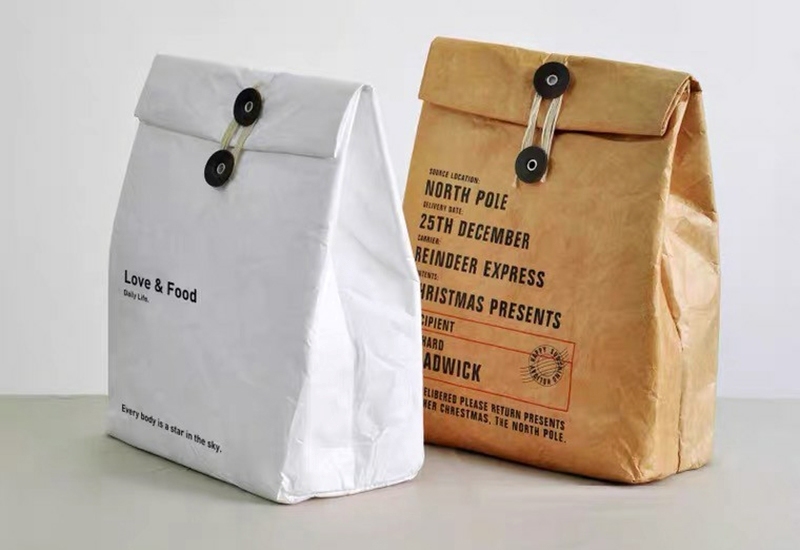 Water-Resist Dupont Tyvek Eco Paper Bag