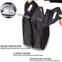 Wine Travel Bag and Insulated Cooler Bag with Handle
