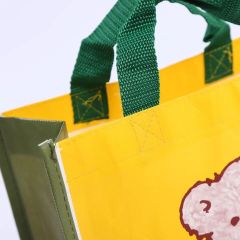 Laminated Non-Woven Eco Shopping Bag Tote Bag