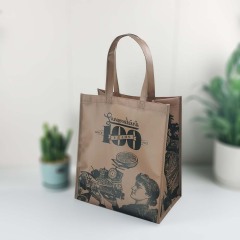 Laminated Logo Printing Non-Woven Fabric Fashion Shopping Bags