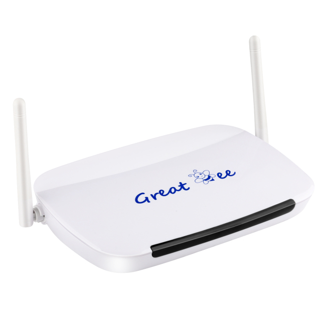 Great Bee Arabic IPTV Box