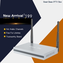 New Great Bee Arabic IPTV Box,Aluminum alloy box,with Standard channels plus premium channels,Free for life