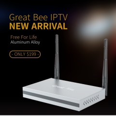 New Great Bee Arabic IPTV Box,Aluminum alloy box,with Standard channels plus premium channels,Free for life