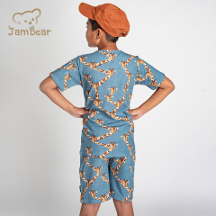Sustainable kids t shirt and shorts set summer organic cotton jersey children set eco friendly kids shorts set boys