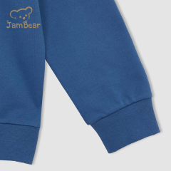 Sustainable children pullover and sweat pant set organic cotton kids sweatshirt and jogger set eco friendly kids jogger set