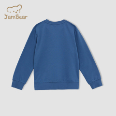 Sustainable children pullover and sweat pant set organic cotton kids sweatshirt and jogger set eco friendly kids jogger set