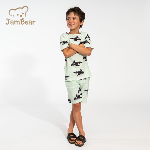 Eco friendly summer organic cotton jersey children set sustainable kids shorts set kids t shirt and shorts set