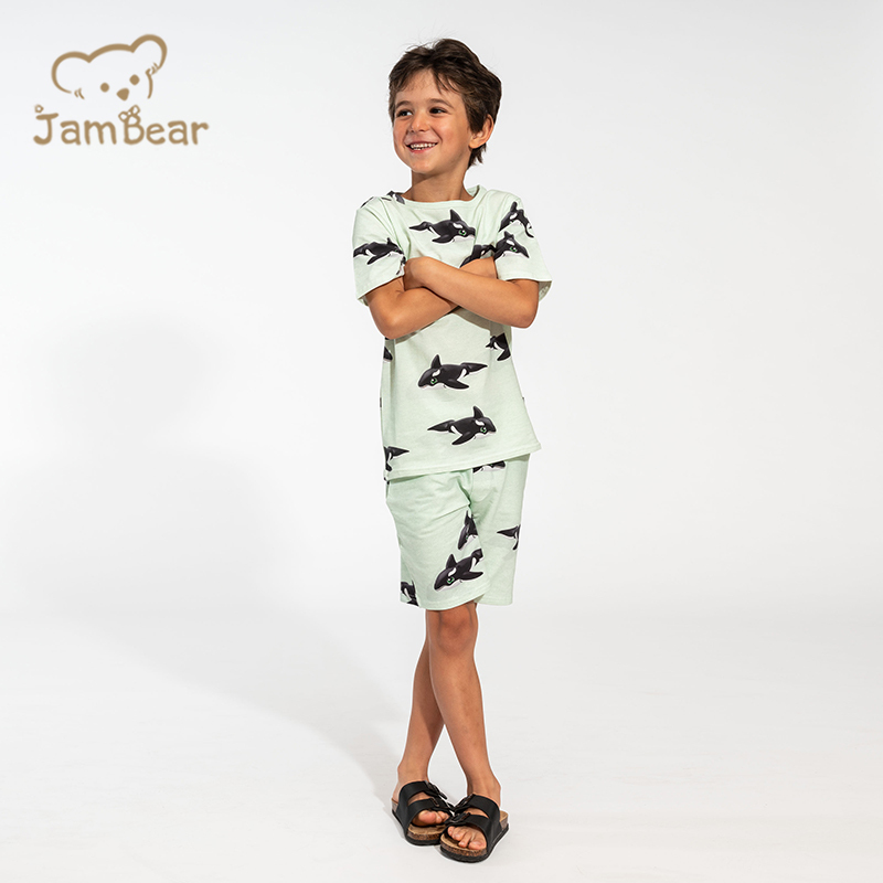 Eco friendly summer organic cotton jersey children set sustainable kids shorts set kids t shirt and shorts set