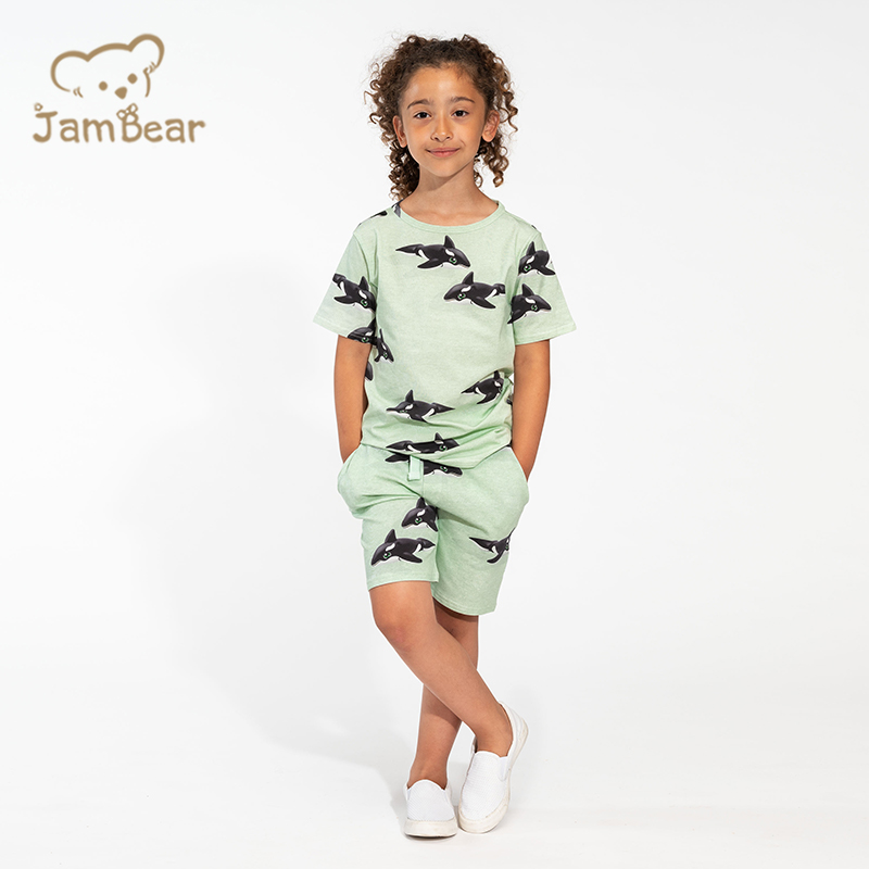 Eco friendly summer organic cotton jersey children set sustainable kids shorts set kids t shirt and shorts set