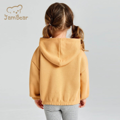 Organic Cotton Hoodie Baby Eco Friendly Toddler Casual Hoodies Sustainable Blank Hoodies Cotton