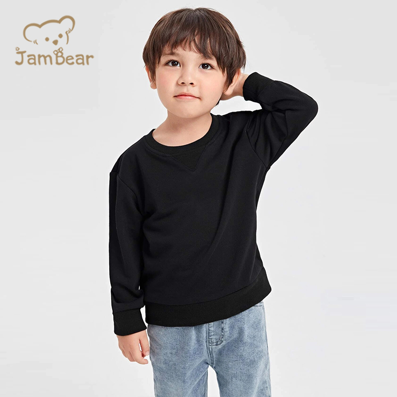 Organic sweatshirts For Boys Sustainable toddler Crew Neck baby Sweatshirt knit pullover kids Eco toddler blank sweatshirt
