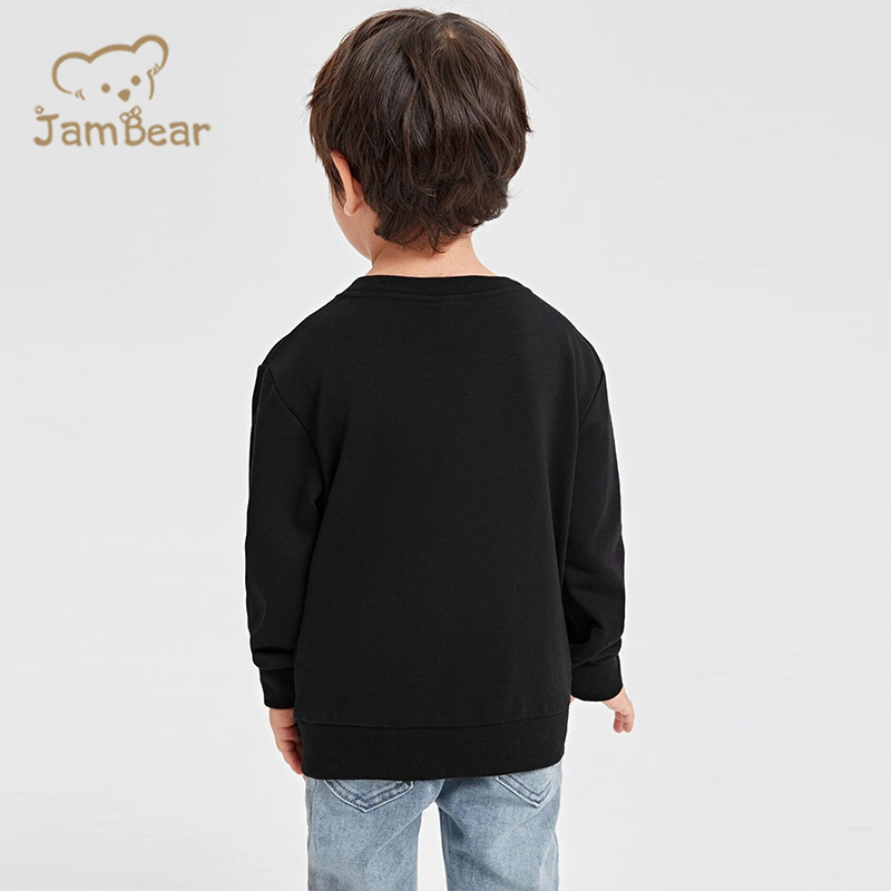 Organic sweatshirts For Boys Sustainable toddler Crew Neck baby Sweatshirt knit pullover kids Eco toddler blank sweatshirt