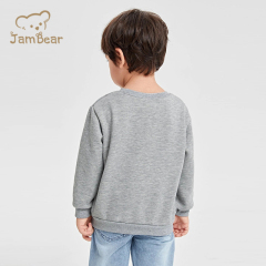 Eco Friendly Toddler Sweatshirt Organic Cotton Baby crew neck Boy pullover Sustainable 100% cotton toddler sweatshirt
