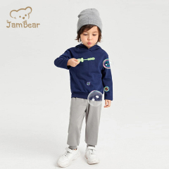 Organic Baby Bamboo Hoodies Sustainable Toddler Casual Hoodies Eco Friendly hood baby hooded sweatshirt