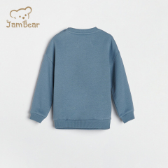 Organic bamboo toddler sweatshirt eco friendly crewneck sweatshirt toddler long sleeve sustainable baby pullover