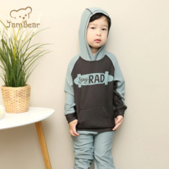 Organic Children Hoodie Sustainable Kids Pullover Hoodies Organic Cotton Hoodie Children