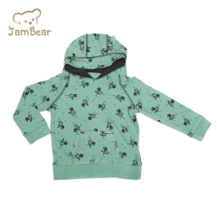 Organic Children Hoodie Sustainable Kids Pullover Hoodies Organic Cotton Hoodie Children