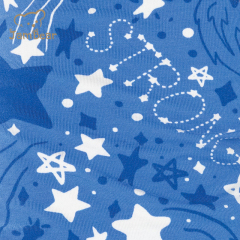 Organic cotton christmas matching family pajamas eco friendly family christmas pajamas sustainable family dog pajamas