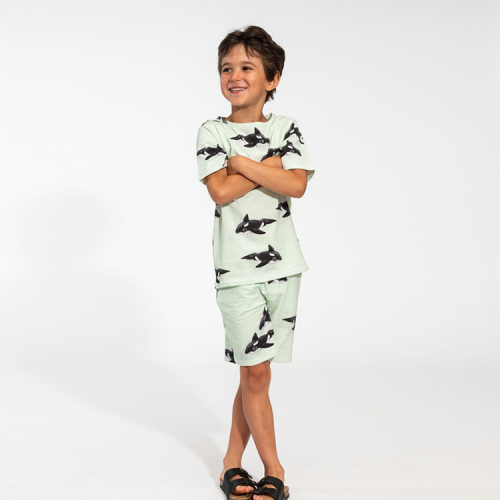 Natural baby boy shorts sets organic cotton jersey Tops and Pants Suit organic baby clothes eco-friendly t shirt and Shorts Set