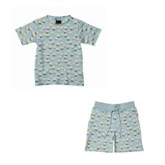 Kid boys shorts set sustainable T-Shirt and Shorts Set for Kids organic baby clothes organic cotton Baby Tops and Pants Suit