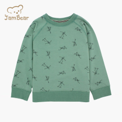 Eco friendly printed kids sweatshirt sustainable kids boys sweatshirt organic cotton children's sweatshirt french terry