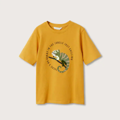 Kids t shirt Kids Organic Cotton TShirts Cotton printed T-shirt organic baby clothes short sleeve children t-shirt