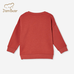 Eco friendly kids fleece sweatshirt organic bamboo printed kids sweatshirt sustainable kids crewneck sweatshirt