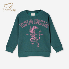 Eco friendly kids fleece sweatshirt organic bamboo printed kids sweatshirt sustainable kids crewneck sweatshirt