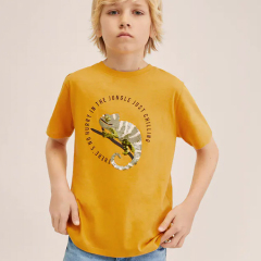 Kids t shirt Kids Organic Cotton TShirts Cotton printed T-shirt organic baby clothes short sleeve children t-shirt