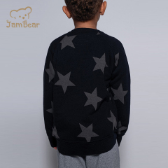 Eco friendly printed kids sweatshirt sustainable kids boys sweatshirt organic cotton children's sweatshirt french terry