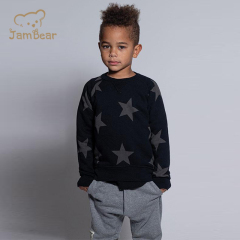 Eco friendly printed kids sweatshirt sustainable kids boys sweatshirt organic cotton children's sweatshirt french terry