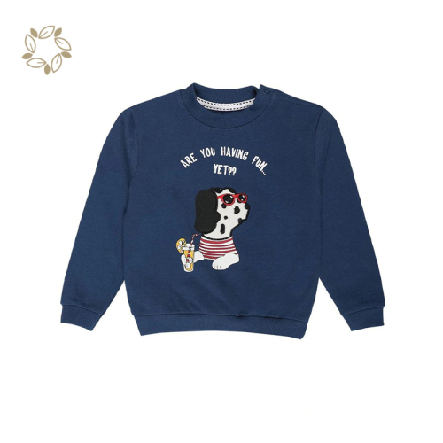 Organic cotton toddler pullover sustainable crew sweatshirt toddler eco friendly baby crewneck