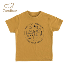 Sustainable toddler boys t-shirts eco friendly t-shirts toddler organic cotton baby print t-shirts