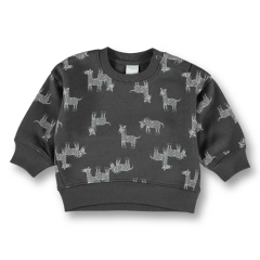 Toddler boy sweatshirt custom crewneck sweatshirts Organic cotton kid pullover baby printed fleece sweatshirts