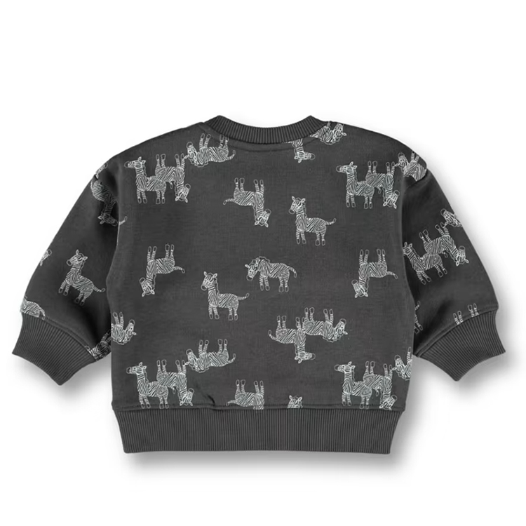 Toddler boy sweatshirt custom crewneck sweatshirts Organic cotton kid pullover baby printed fleece sweatshirts