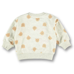Printed fleece Toddler sweatshirts Organic cotton kid pullover Eco-friendly Crew Neck Pullover