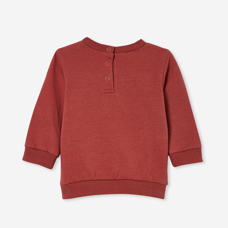 Custom crewneck sweatshirts organic cotton kid pullover Eco-friendly Toddler fleece boy sweatshirt