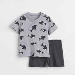 Children tee and shorts organic baby clothes organic cotton Baby Tops and Pants Suit Kid boys shorts set