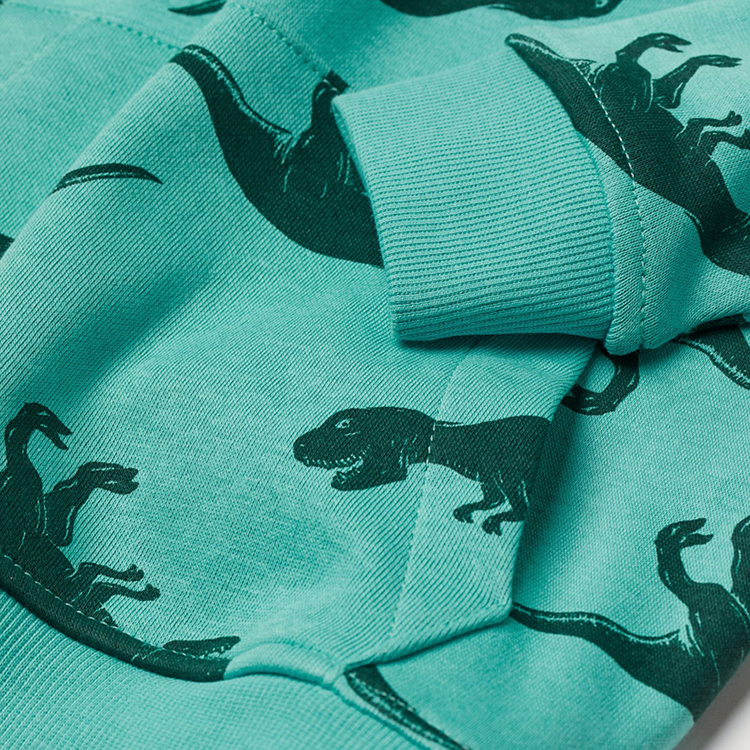 Organic cotton Hooded top Eco friendly kids hoodies Child hooded Sweatshirt Sustainable printed kids custom hoodie