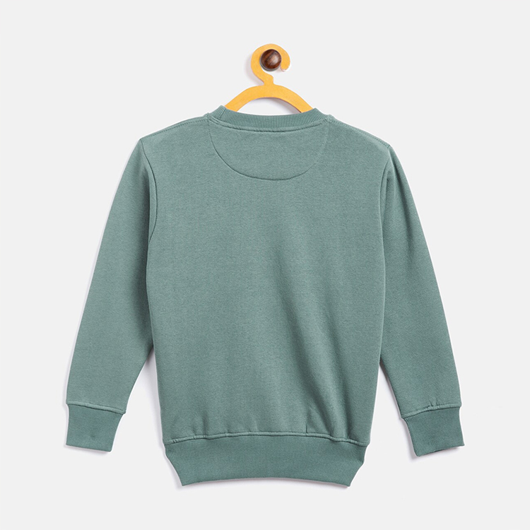 Boys Printed Sweatshirt Organic cotton children crewneck pullover eco friendly kids sweatshirt Sustainable kid top