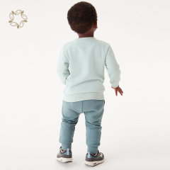 Bamboo cotton jersey sweatshirt and jogger set for baby eco friendly boys clothing sets sustainable toddler clothes set