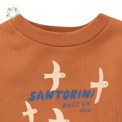 100% organic cotton terry baby sweatshirt eco friendly crew neck toddler jumper sustainable toddler crewneck sweatshirt