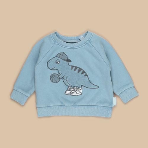 Eco friendly kids printed sweatshirt organic cotton fleece Boys Pullover Sustainable kid top children crewneck sweatshirt