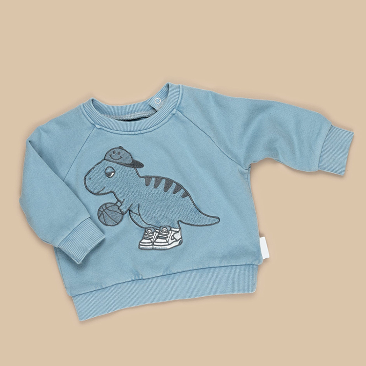 Eco friendly kids printed sweatshirt organic cotton fleece Boys Pullover Sustainable kid top children crewneck sweatshirt