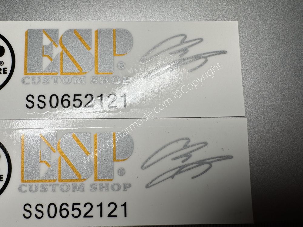 SHIP FROM CHINA !! ESP Guitar Metallic ink Neck Headstock Decals Sticker