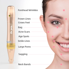 Professional Dr.pen M5 Wireless Microneedling Derma pen With 2Pcs 12 Pins