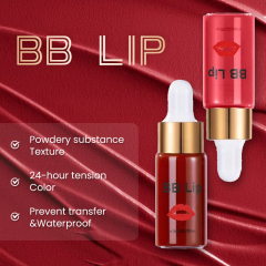 LAN FROST BB Lips Serum Kit Lip Gloss BB Cream Pigment Set for Lip Coloring Moisturizing Plumping