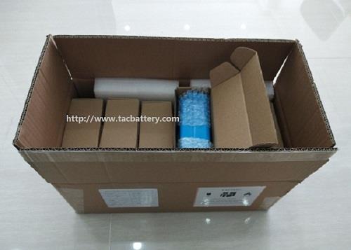 24V Lifepo4 Battery Pack 18650 3.0AH For Tracking System Can work 5-10 year 